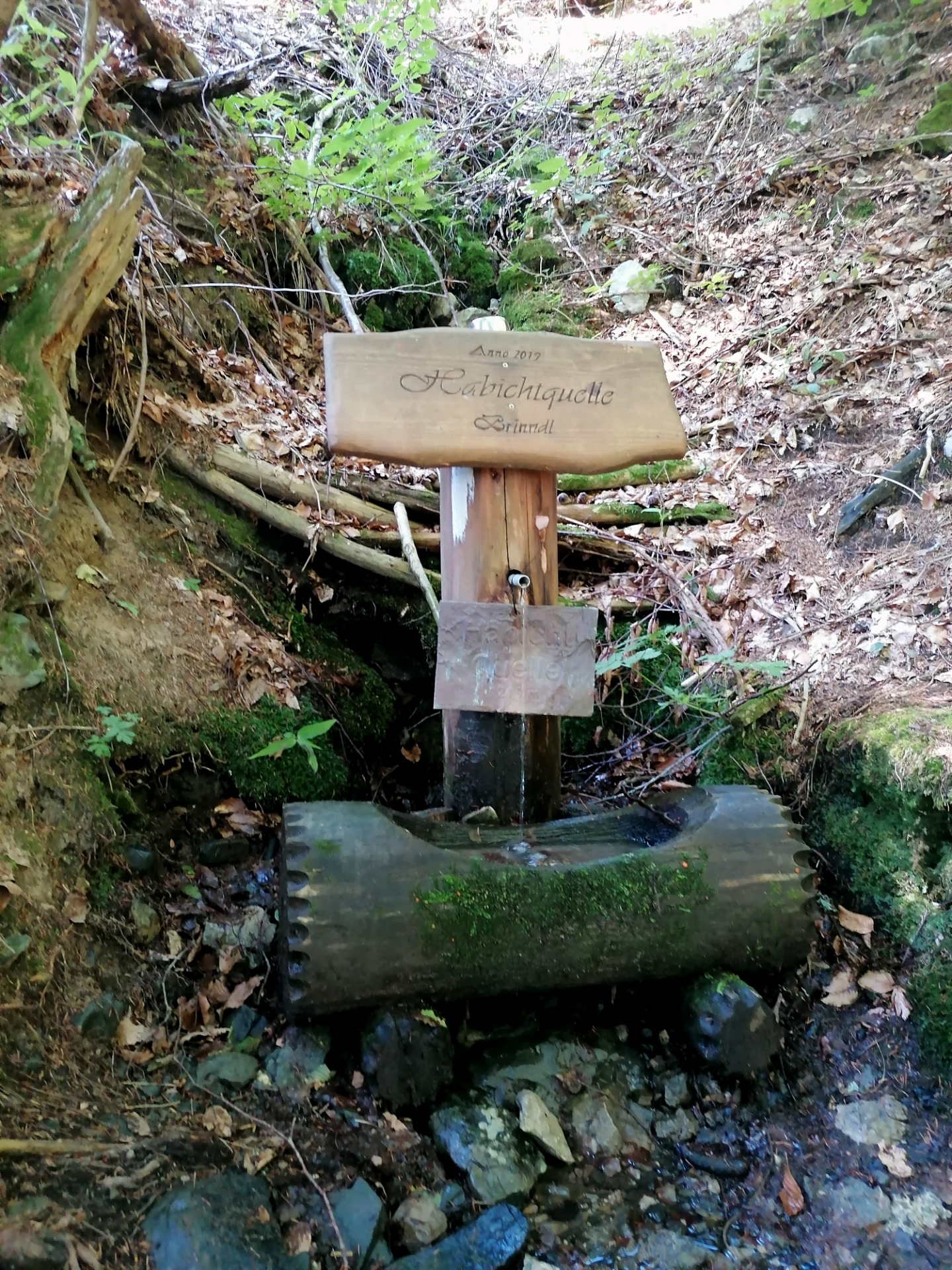 Studánka v lese kousek nad Thorl-Maglernem
