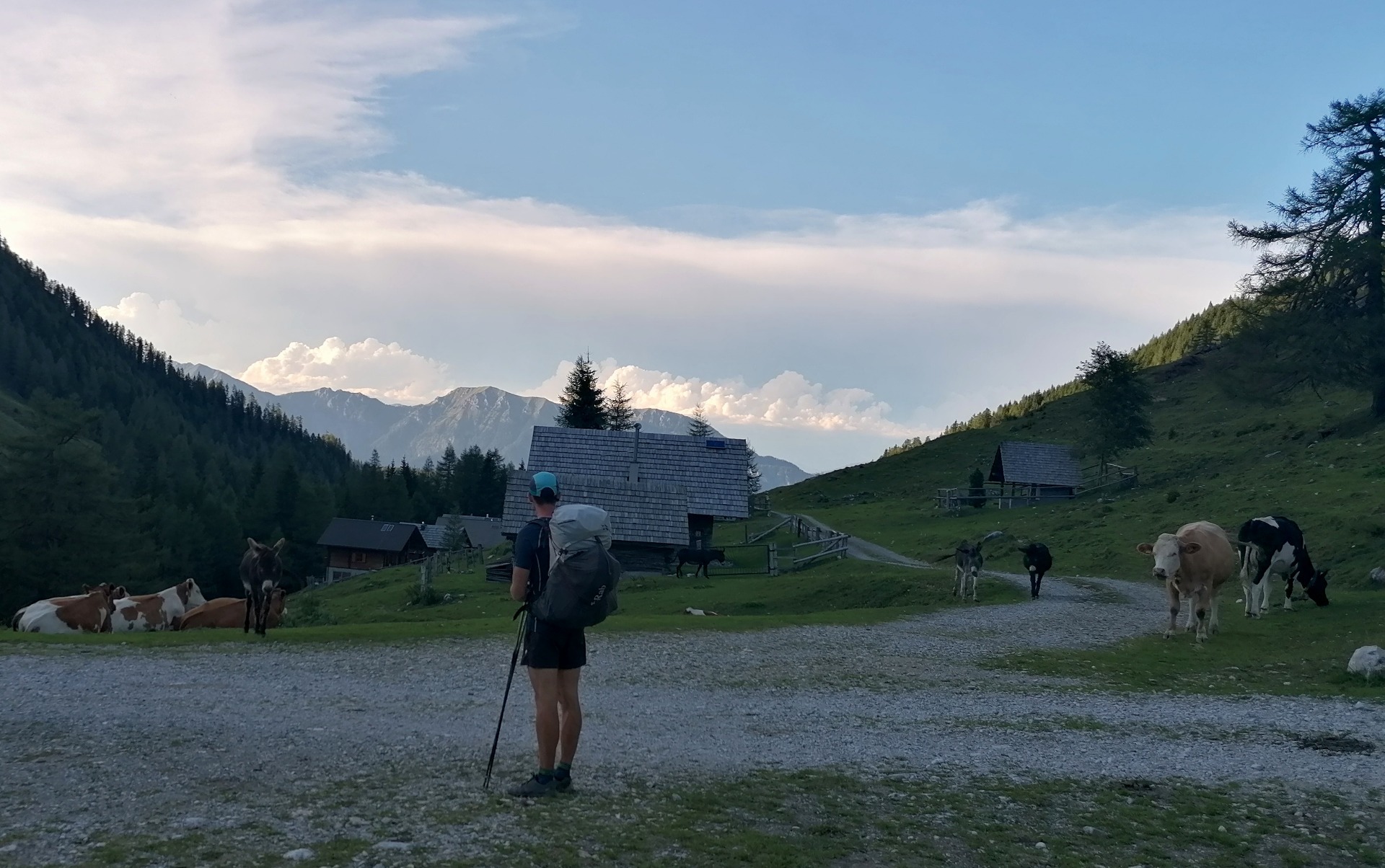 Dolinza Alm